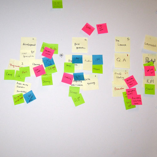 PROJECT MANAGEMENT